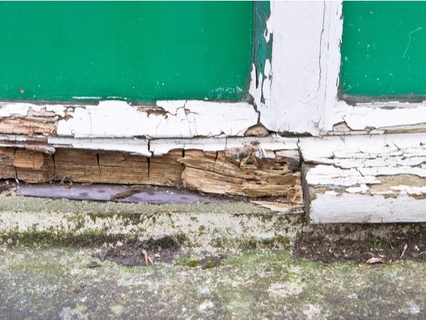 Extensive wood rot on a house