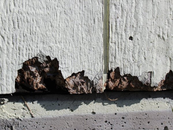 louisiana pacific siding issues include rotting