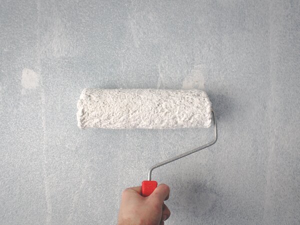 Paint roller